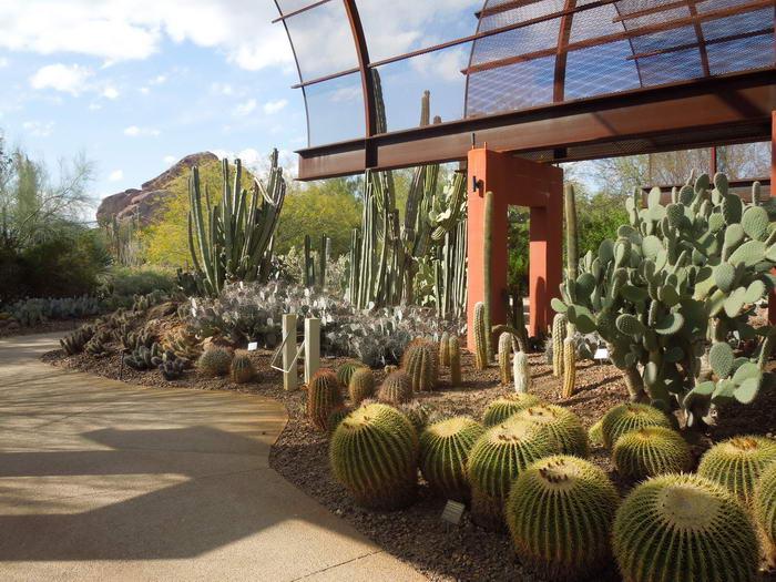 В этом уникальном ботаническом саду собрана самая большая коллекцию кактусов в мире.