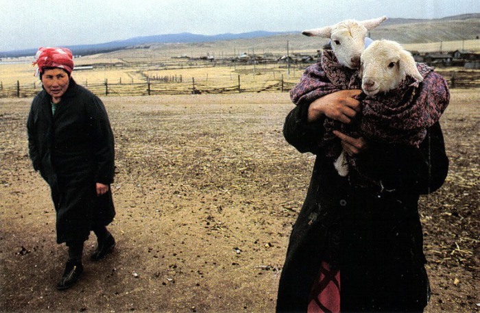 Женщины, живущие на острове Ольхон и занимающиеся по своему обыкновению овцеводством. СССР, 1970 год.