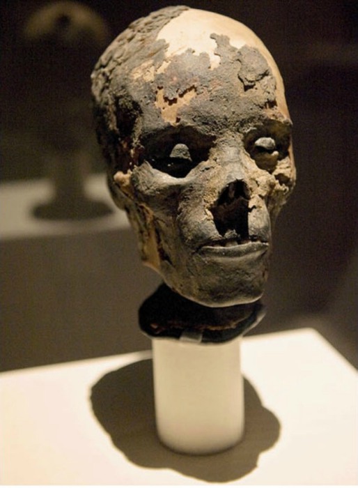 Голова египетской мумии взрослого человека.