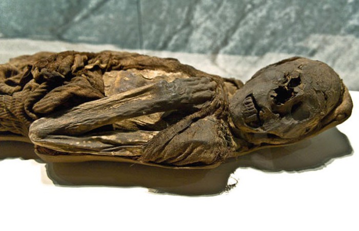 Мумия перуанца, умершего в возрасте 30 лет 1000 лет назад.