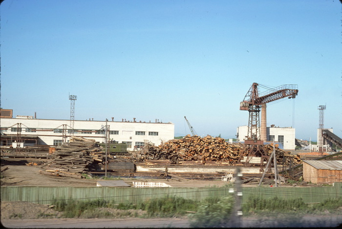 Завод для заготовки и производства древесины в Приморье.
