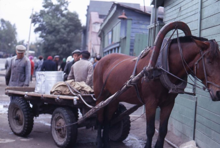 Повозка, стоящая неподалеку от рынка. СССР, Новосибирск, 1969 год.