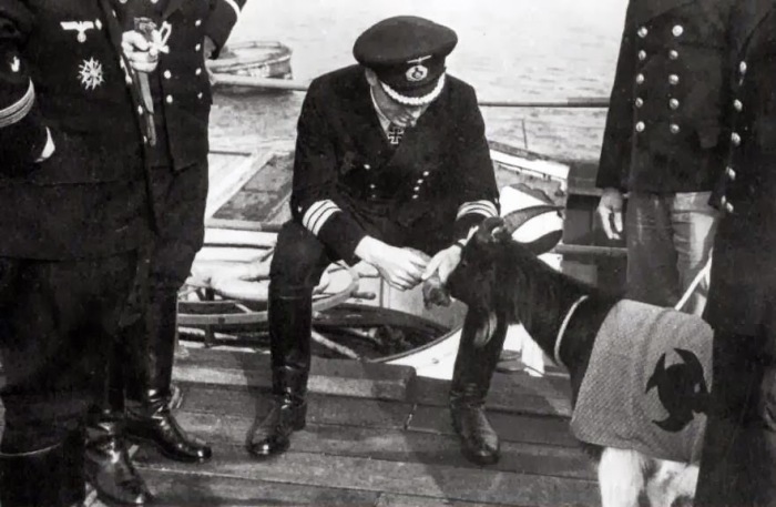 Леманн–Вилленброк кормит козла в попоне с эмблемой 9–й флотилии. Франция, Брест, 1944 год.