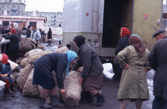  Женщины разгружающие привезенную картошку на рынке. СССР, Новосибирск, 1969 год.