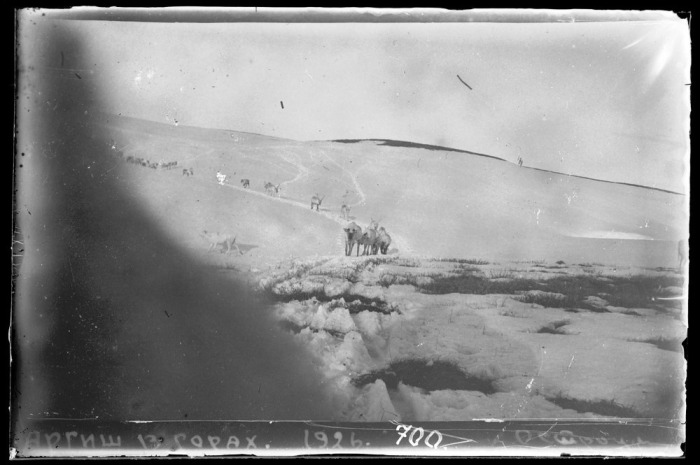 Олений обоз в горах (Аргиш).  Красноярский край, Таймыр, 1926 год.