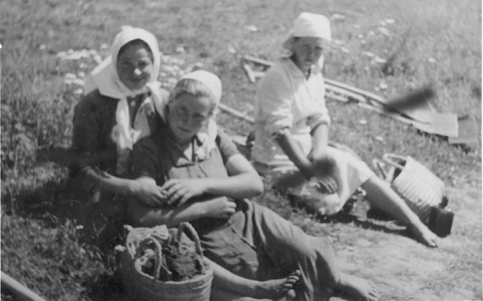 Работа в поле. СССР, Украина, 1941 год. 