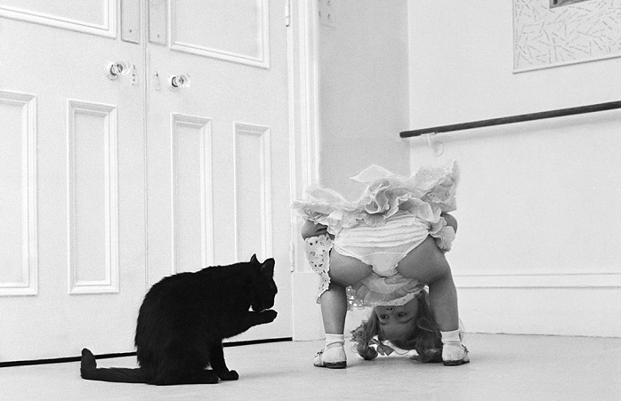 Трогательные фотографии Джона Дрисдейла о настоящей дружбе. 
