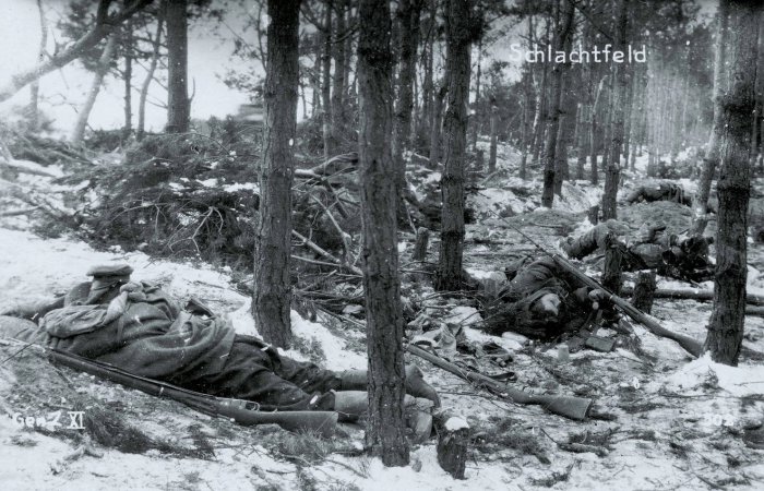 Погибшие солдаты и офицеры после битвы в лесу. 