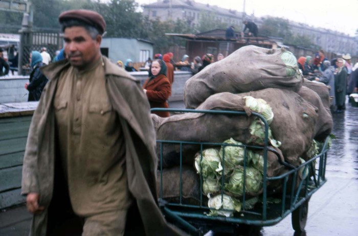 Мужчина, везущий на телеги привезенную капусту. СССР, Новосибирск, 1969 год.