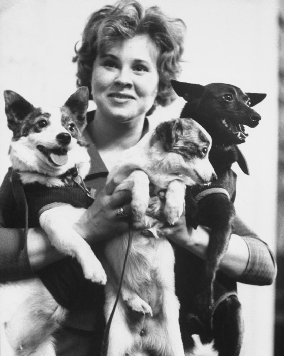 Тамара Косарева с собаками в Академии наук СССР. 