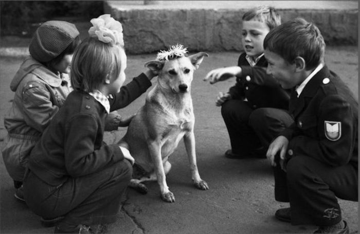 Венок для бездомной собаки. СССР, Новокузнецк, 1983 год.