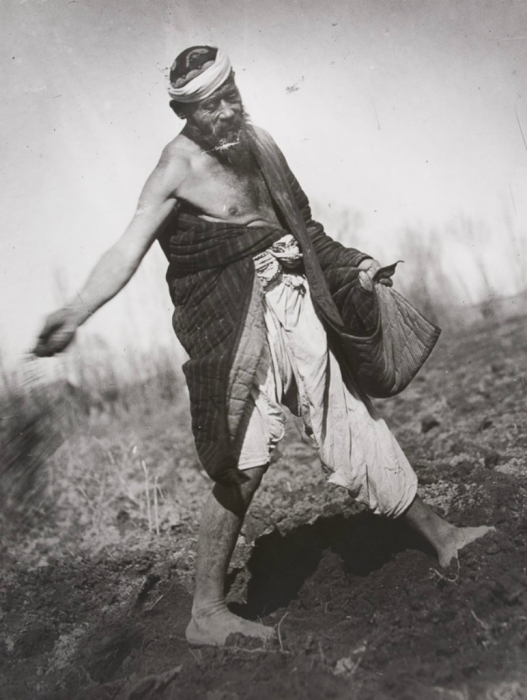 Сеятель. Узбекистан, 1926 год.