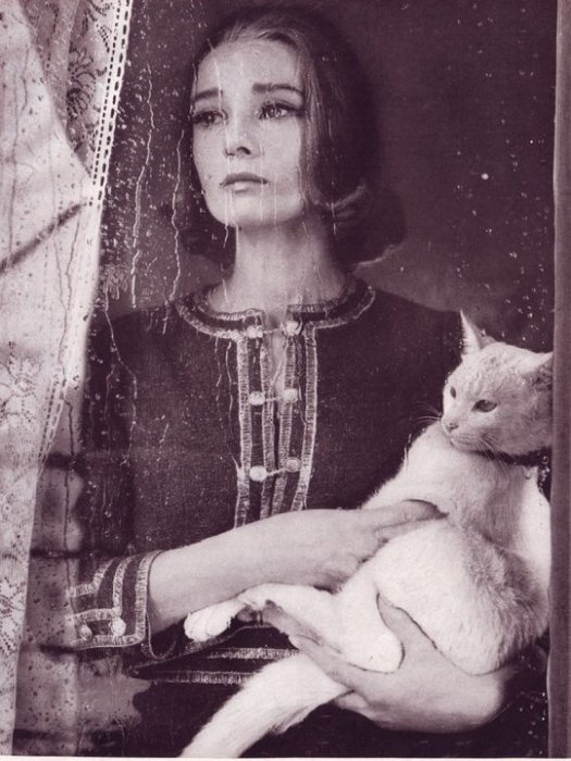 Одри Хепберн с котом по кличке Rhubarb.