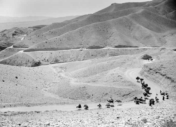 Караван мулов и верблюдов движется по извилистым тропам перевала Латабанд на пути в Кабул, 8 октября 1949 года.