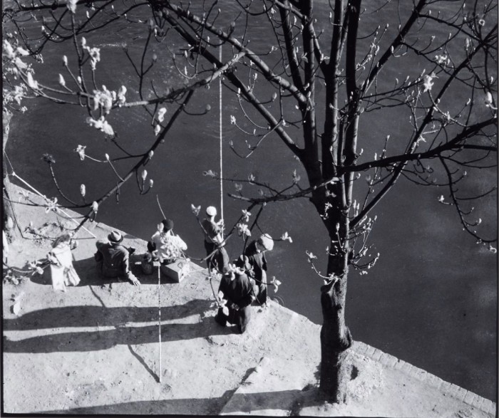  Весна в Париже в 1938 году. 