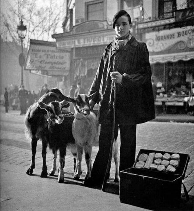 Продажа козьего сыра в сопровождении коз в 1935 году. 