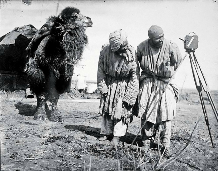 Неподдельный интерес. Узбекистан, Каршинская степь, 1926 год. 