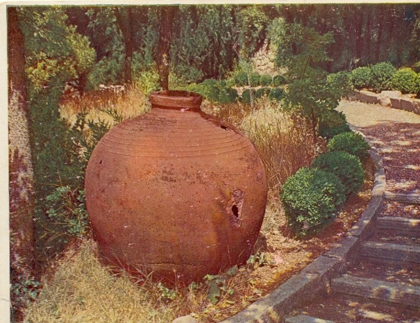 Античный керамический сосуд для вина. Крым, Харакс, 1925 год. 