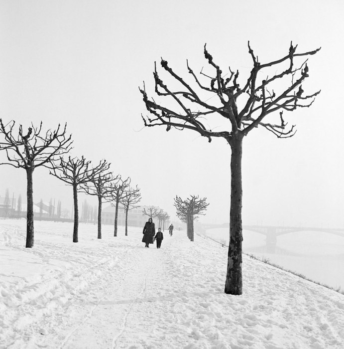 Зимняя прогулка вдоль правого притока Рейна. Германия, 1955 год.