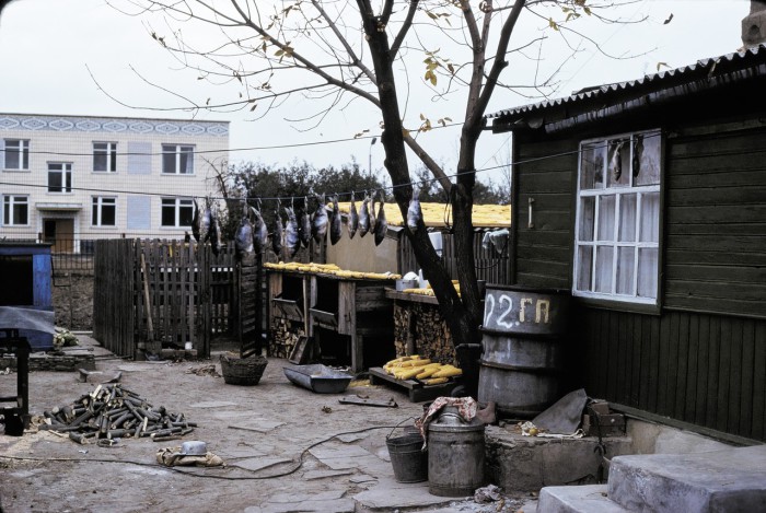 Сушка кукурузы и рыбы в доме колхозника. СССР, Ростовская область, 1975 год.