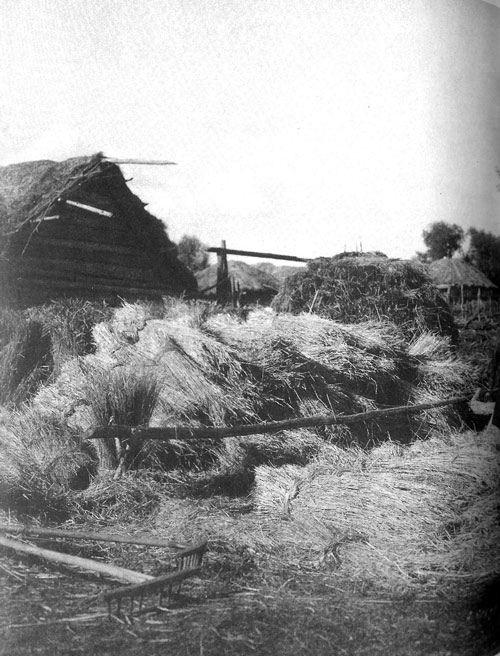 Место для хранения урожая. Рязанская губерния, Касимовский уезд. 1914 год.
