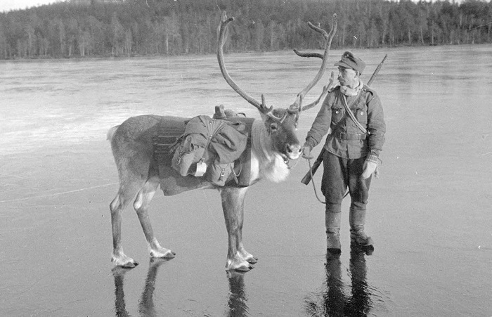 Участие Финляндии во Второй мировой войне. 
