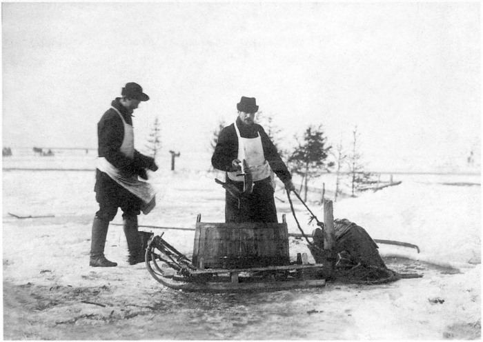 Торговцы рыбой. Россия, Архангельская область, Приморский район, 1910 год.