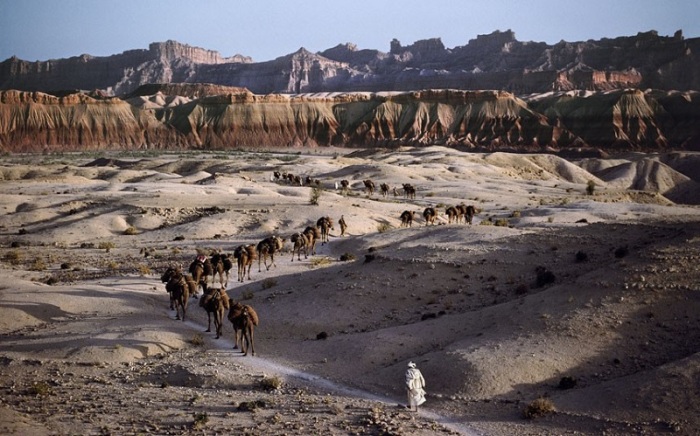Караван верблюдов. Афганистан, 1981 год.