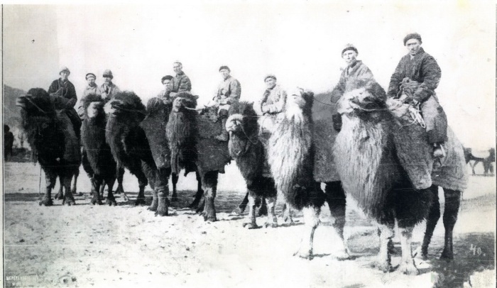 Всадники на верблюдах. Туркестан, Пишпек, 1910 год.