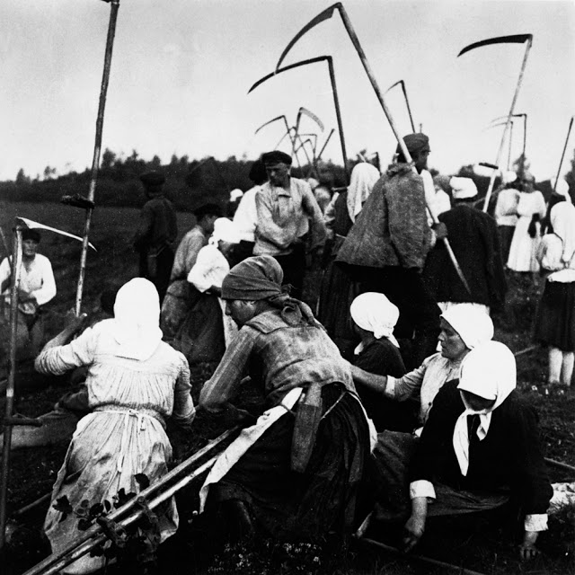 Сбор урожая. Россия, 1910-е годы.