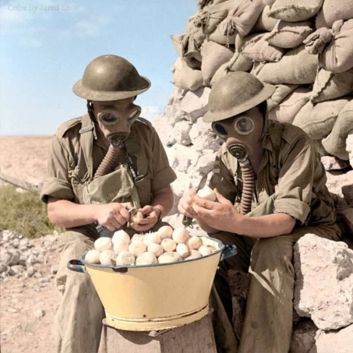 Британские солдаты чистят лук в противогазах. Тобрук, 15 октября 1941 года.
