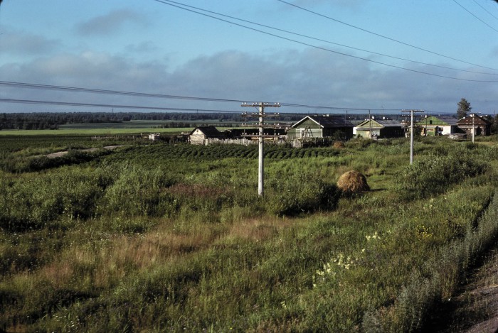 Небольшой поселок, расположенный в южной части Западной Сибири.