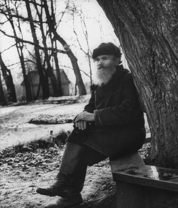 Старик, сидящий на лавочке под деревом. СССР, Москва, 1955 год.