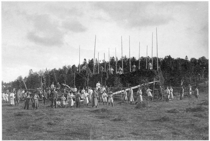 Монахи, работающие в поле. Россия, Архангельская область, Приморский район, 1910 год.