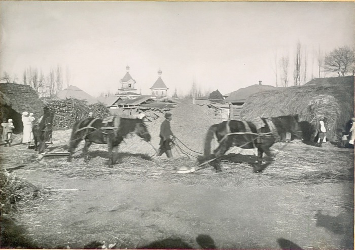 Молотьба лошадьми с камнями в деревне. Туркестан, Пишпек, 1914 год. 