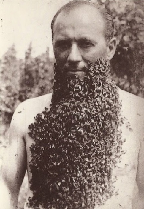 Мужчина с бородой из пчел, 1960-е годы.
