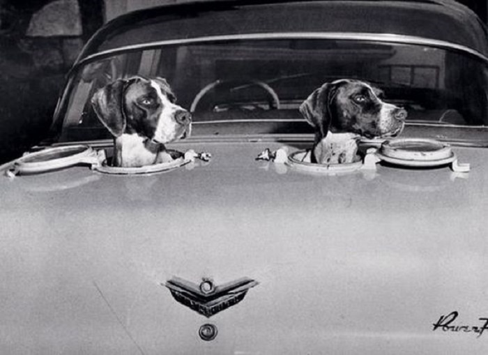Оригинальное изобретение для собак, 1958 год.