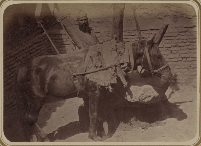 Маслобойное производство. Выжимание масла. Киргизия, начало 20 века.