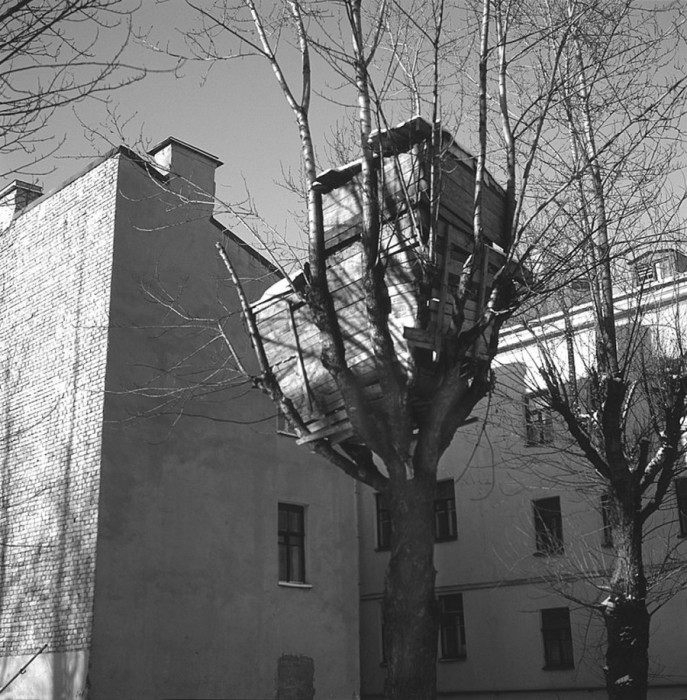 Домик на дереве в одном из дворов Петербурга.