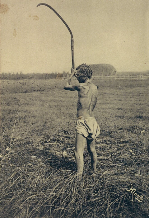 Пожилой якут косящий сено. Якутская область, начало 20 века. 