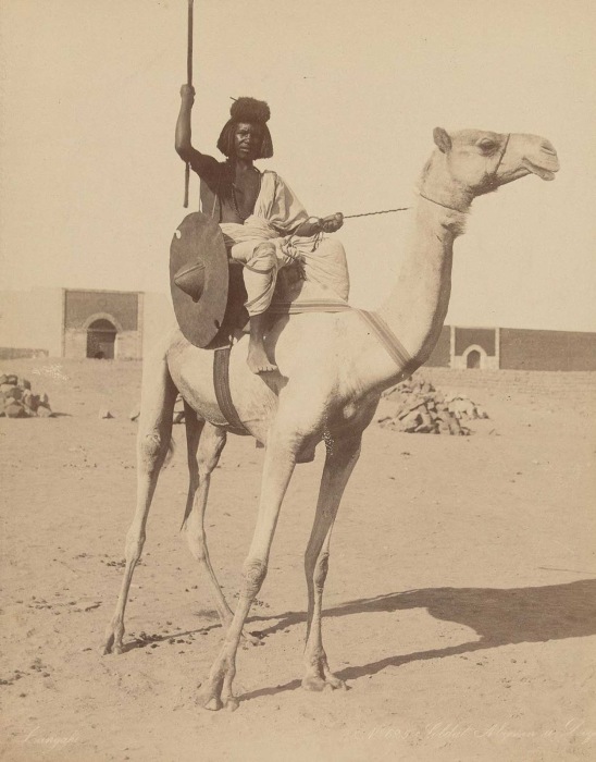 Бишаринский солдат на верблюде в 1870-го года.