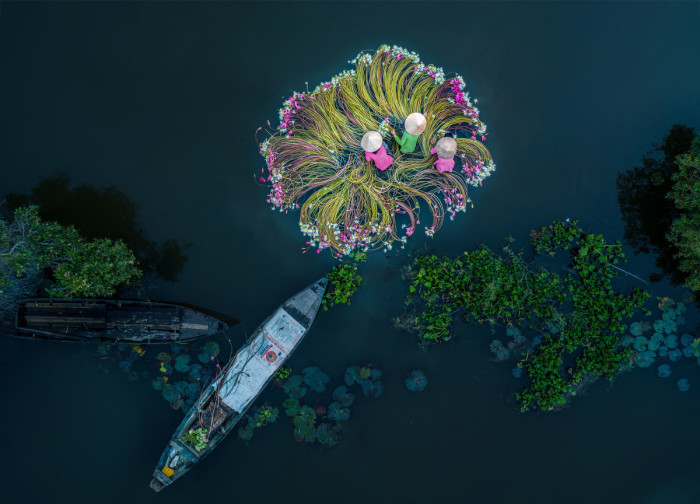 Цветы на воде. Автор фотографии: Хан Фан.