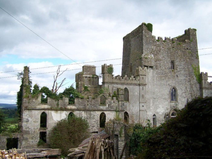 Замок Лип в графстве Оффали, построеный в конце XV века семьёй О’Баннон. Ирландия, графство Оффали. 