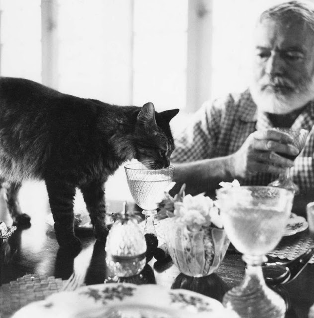 Эрнест Хемингуэй за столом с кошкой Кристобаль в Финка Вихия.
