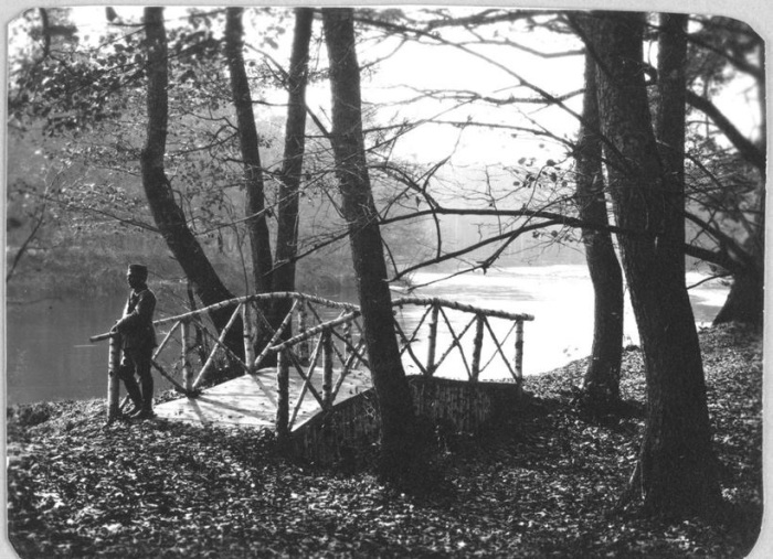 Мост в охотничьем угодье в Польше, где охотился император Николай II.