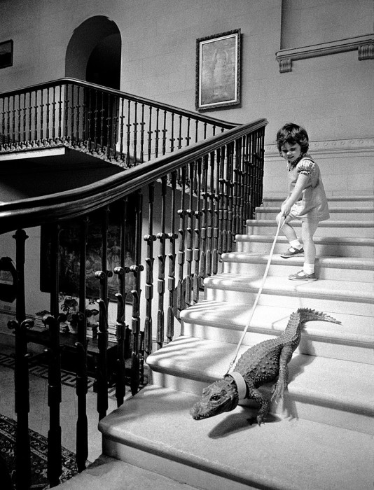Спуск по лестнице, 1976 год.