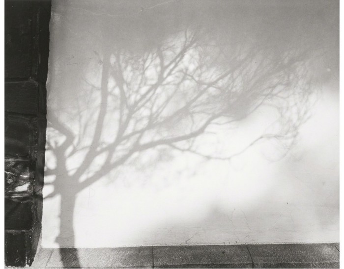 фотография, на которой тень формируют причудливый образ, 1972 год.