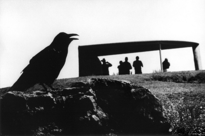 Концептуальные чёрно-белые фотографии Ренато Д'Агостина, приближенные к фантазиям.
