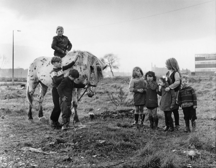 Катание на лошади. Англия, Манчестер, 1967 год.