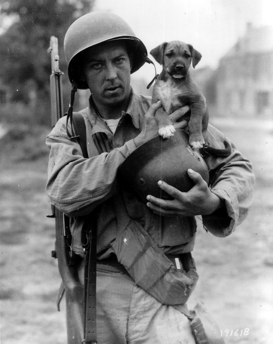 Джозеф Э. Дэй держит щенка по клике «Вторжение», 14 июля 1944 года.